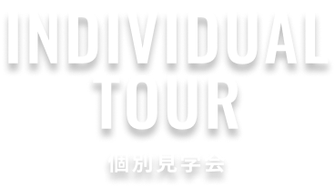 INDIVIDUAL TOUR